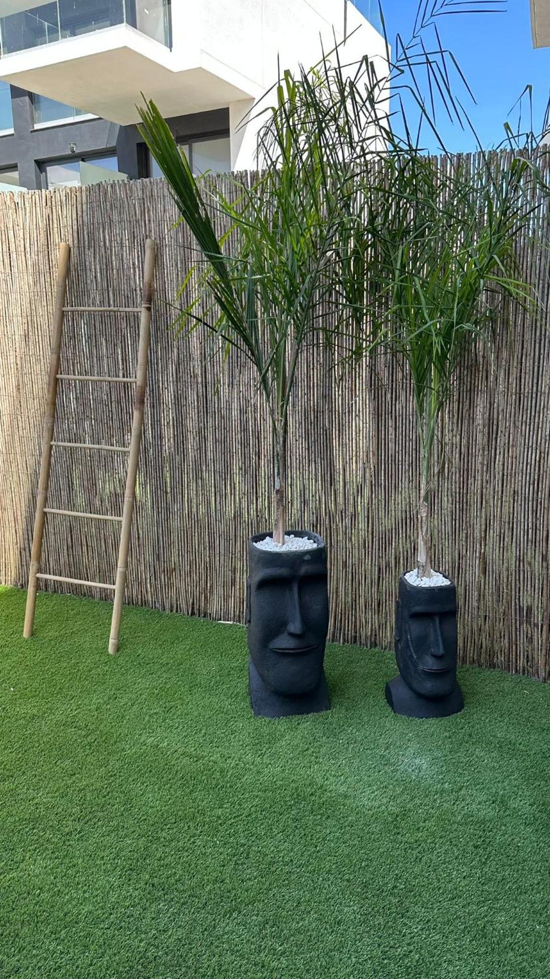 Appartement Zahara Pueblo Boutique I *